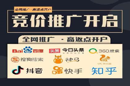 案例研究：百度竞价广告投放效果